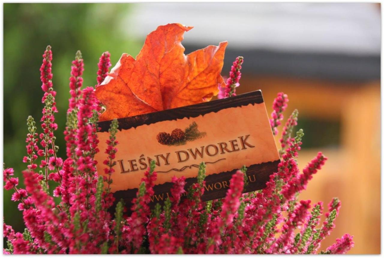 Lesny Dworek 자코파네 외부 사진